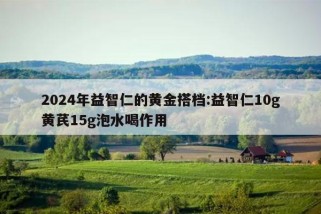 2024年益智仁的黄金搭档:益智仁10g黄芪15g泡水喝作用