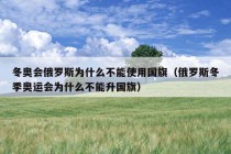 冬奥会俄罗斯为什么不能使用国旗（俄罗斯冬季奥运会为什么不能升国旗）