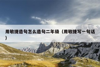 用敏捷造句怎么造句二年级（用敏捷写一句话）