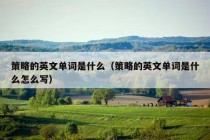 策略的英文单词是什么（策略的英文单词是什么怎么写）