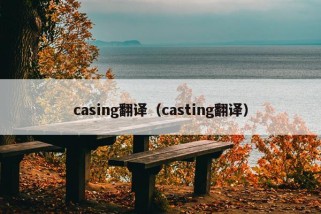 casing翻译（casting翻译）