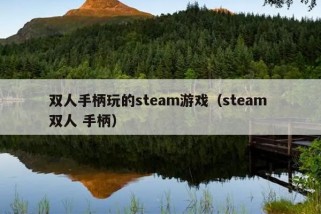 双人手柄玩的steam游戏（steam 双人 手柄）