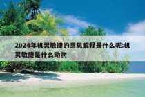 2024年机灵敏捷的意思解释是什么呢:机灵敏捷是什么动物