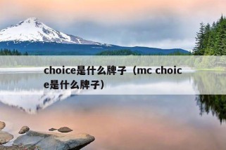 choice是什么牌子（mc choice是什么牌子）