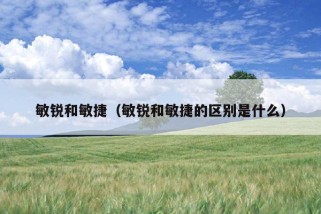 敏锐和敏捷（敏锐和敏捷的区别是什么）