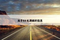 关于BX毛满破的信息