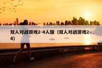 双人对战游戏2-4人版（双人对战游戏2~4）