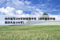 动作描写100字好段初中生（动作描写好段摘抄大全100字）