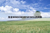 包含WINDOWSXPSP3VOL的词条