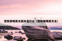 营销策略英文版本是什么（营销策略英文名）