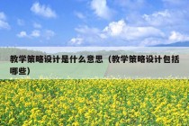 教学策略设计是什么意思（教学策略设计包括哪些）