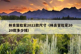 林肯冒险家2022款尺寸（林肯冒险家2020款多少钱）