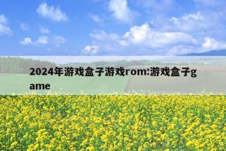 2024年游戏盒子游戏rom:游戏盒子game