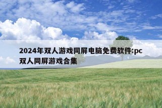 2024年双人游戏同屏电脑免费软件:pc双人同屏游戏合集