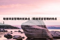 敏捷项目管理的优缺点（敏捷项目管理的特点）