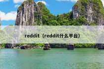 reddit（reddit什么平台）