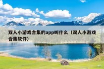 双人小游戏合集的app叫什么（双人小游戏合集软件）