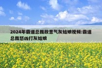 2024年霸道总裁故意气灰姑娘视频:霸道总裁怒凶打灰姑娘