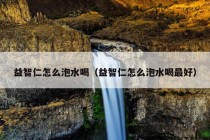 益智仁怎么泡水喝（益智仁怎么泡水喝最好）