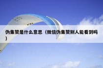 伪集赞是什么意思（微信伪集赞别人能看到吗）