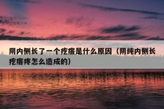 阴内侧长了一个疙瘩是什么原因（阴纯内侧长疙瘩疼怎么造成的）