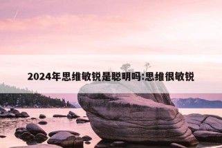 2024年思维敏锐是聪明吗:思维很敏锐