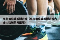 单机策略破解版游戏（单机策略破解版游戏大全内购破解无限版）