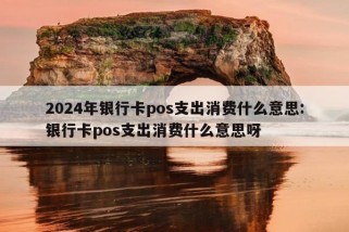 2024年银行卡pos支出消费什么意思:银行卡pos支出消费什么意思呀