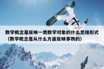 数学概念是反映一类数学对象的什么思维形式（数学概念是从什么方面反映事物的）