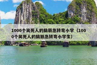 1000个笑死人的脑筋急转弯小学（1000个笑死人的脑筋急转弯小学生）