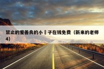 禁止的爱善良的小峓子在钱免费（新来的老师4）