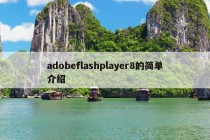 adobeflashplayer8的简单介绍