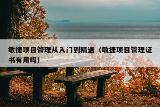 敏捷项目管理从入门到精通（敏捷项目管理证书有用吗）