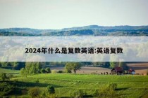 2024年什么是复数英语:英语复数