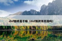 dnf搬砖是干嘛（dnf搬砖有出路吗）