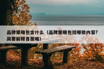 品牌策略包含什么（品牌策略包括哪些内容?简要解释各策略）