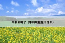 牛莉去哪了（牛莉现在在干什么）