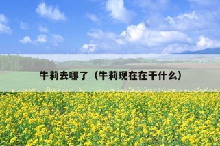 牛莉去哪了（牛莉现在在干什么）