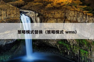 策略模式替换（策略模式 wms）