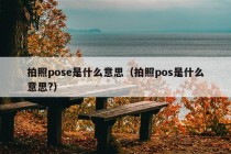 拍照pose是什么意思（拍照pos是什么意思?）