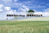 策略单词strategy（策略单词怎么写）