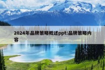 2024年品牌策略概述ppt:品牌策略内容