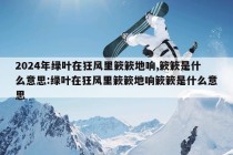 2024年绿叶在狂风里簌簌地响,簌簌是什么意思:绿叶在狂风里簌簌地响簌簌是什么意思