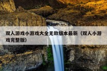 双人游戏小游戏大全无敌版本最新（双人小游戏完整版）