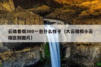 云端香烟300一包什么样子（大云端和小云端区别图片）