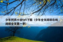 少年阿宾小说txt下载（少年全文阅读在线阅读全文第一季）