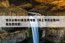 繁花全集46集免费观看（海上繁花全集46集免费观看）