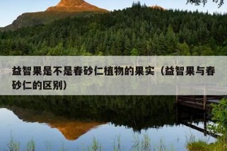 益智果是不是春砂仁植物的果实（益智果与春砂仁的区别）