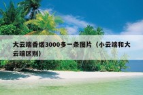 大云端香烟3000多一条图片（小云端和大云端区别）