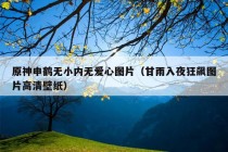 原神申鹤无小内无爱心图片（甘雨入夜狂飙图片高清壁纸）